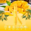 Vapesoul 600 puffs thiết bị vape dùng một lần